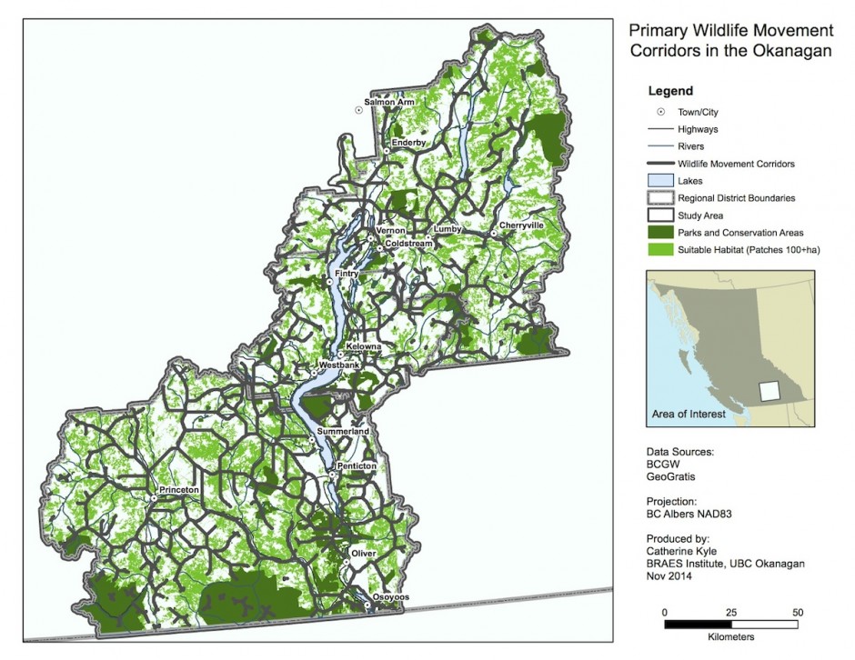 Corridors connecting habitats in the Okanagan Valley Complex