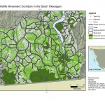 Corridors connecting habitats in the Okanagan Valley